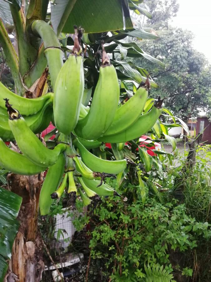 Monteverde Ecolove Екстер'єр фото